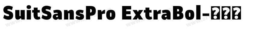 SuitSansPro ExtraBol字体转换 SuitSansPro ExtraBol字体转换